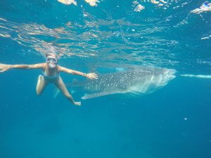 DCIM100GOPROGOPR0506.