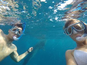 DCIM100GOPROGOPR0537.