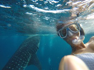 DCIM100GOPROGOPR0539.